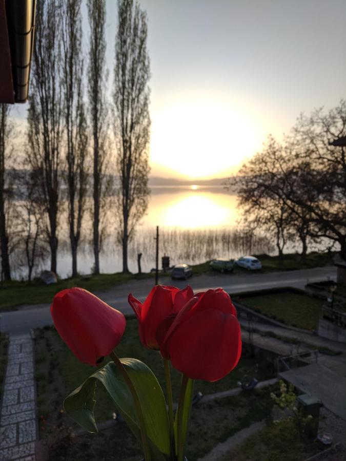Ajkoski Apartments Peštani Exteriör bild